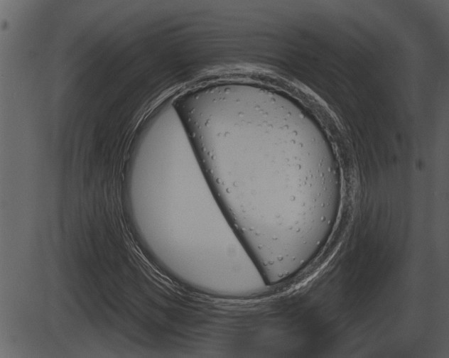 X0000086270921200703291033