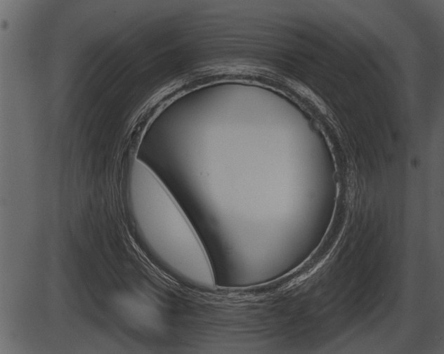 X0000086270922200703291033