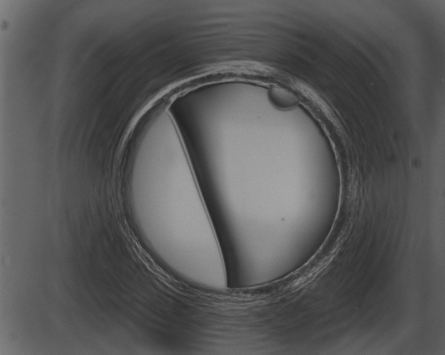 X0000086270923200703291033