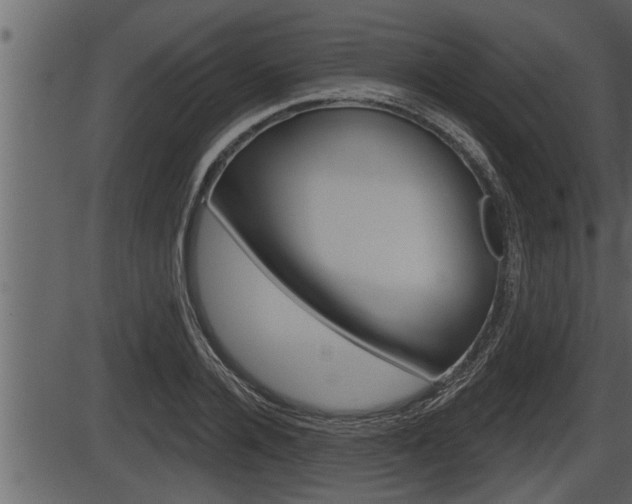 X0000086270936200703291033