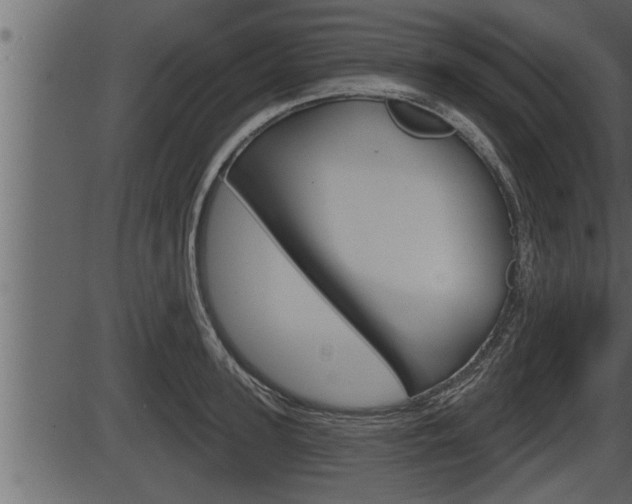 X0000086270947200703291033