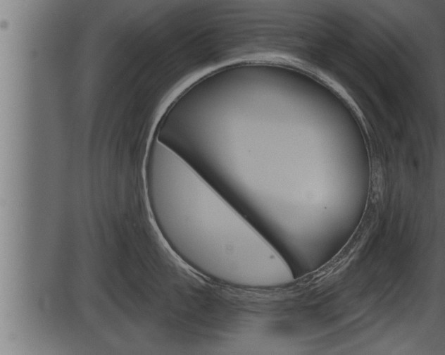 X0000086270959200703291033