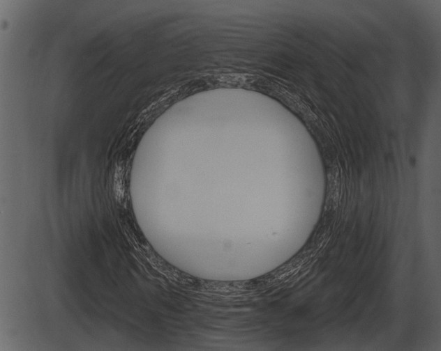 X0000086270962200703291033