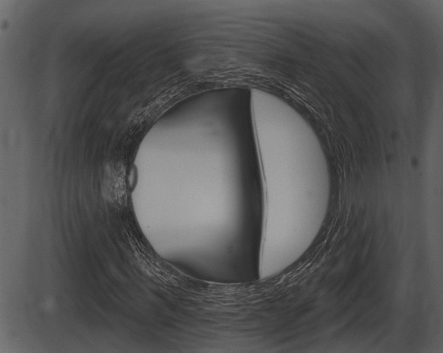 X0000086270963200703291032
