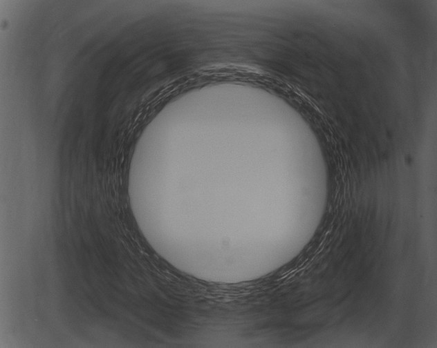 X0000086270965200703291032