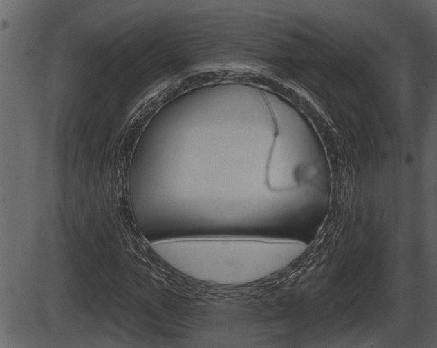 X0000086270967200703291032