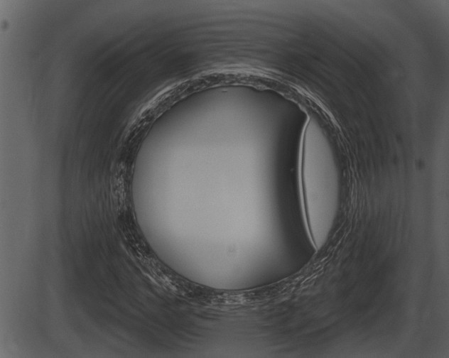 X0000086270968200703291032