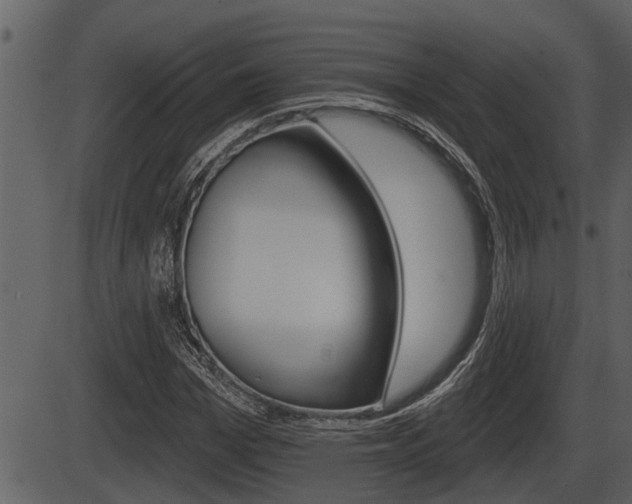 X0000086270969200703291032