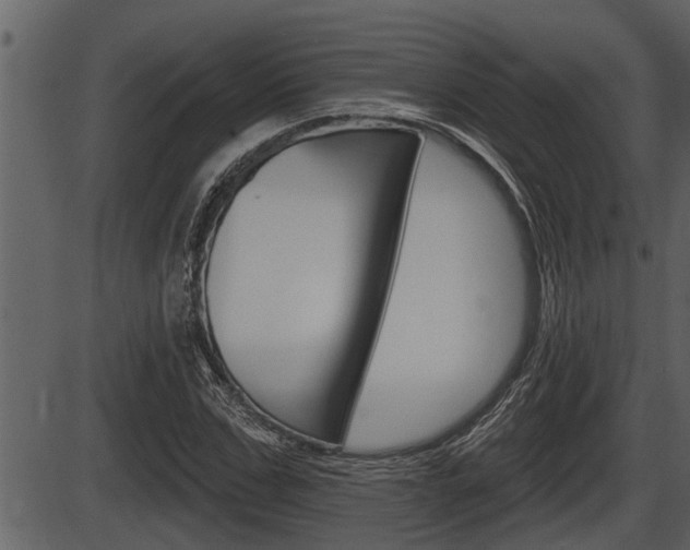 X0000086270971200703291032
