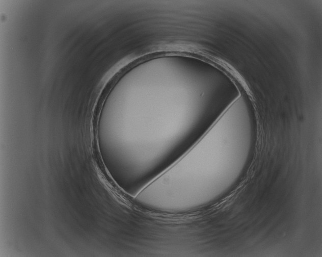 X0000086270980200703291032