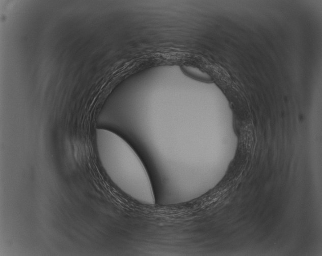 X0000086271009200703291031