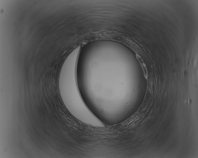 X0000086271010200703291031