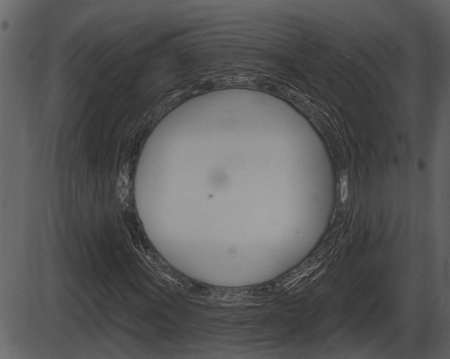 X0000086271011200703291031