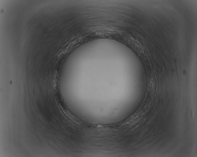 X0000086271012200703291031