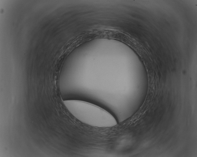 X0000086271013200703291031