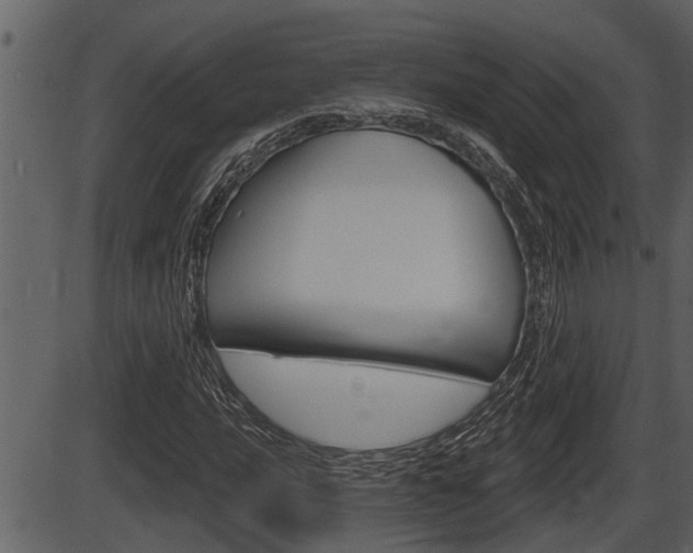 X0000086271016200703291031