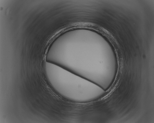 X0000086271017200703291031