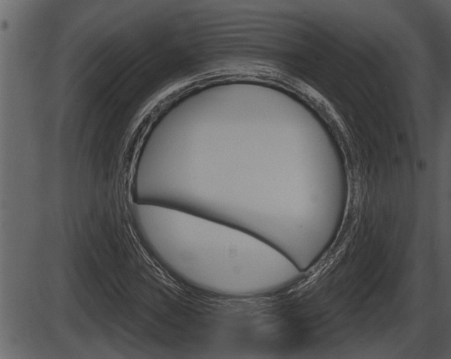X0000086271019200703291031