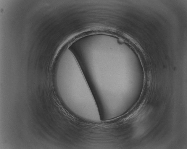 X0000086271021200703291031
