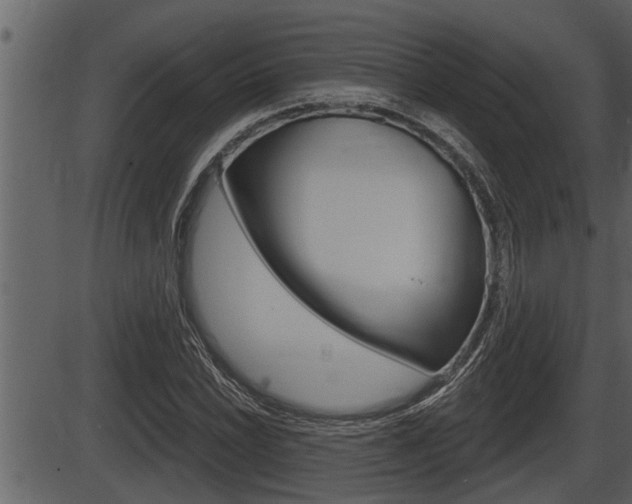 X0000086271022200703291031