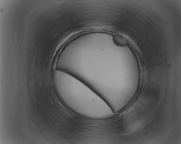 X0000086271023200703291031