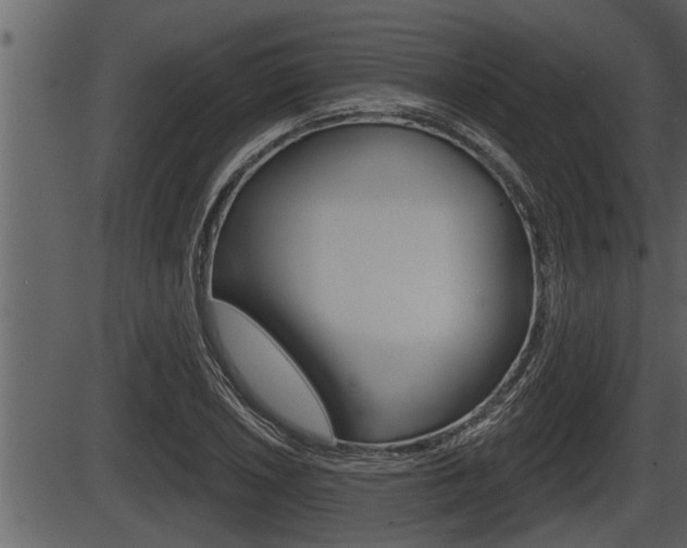 X0000086271026200703291031