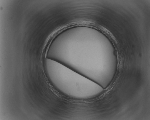 X0000086271027200703291031