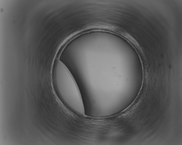 X0000086271028200703291031