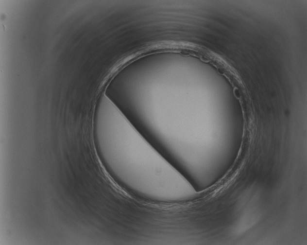 X0000086271033200703291031