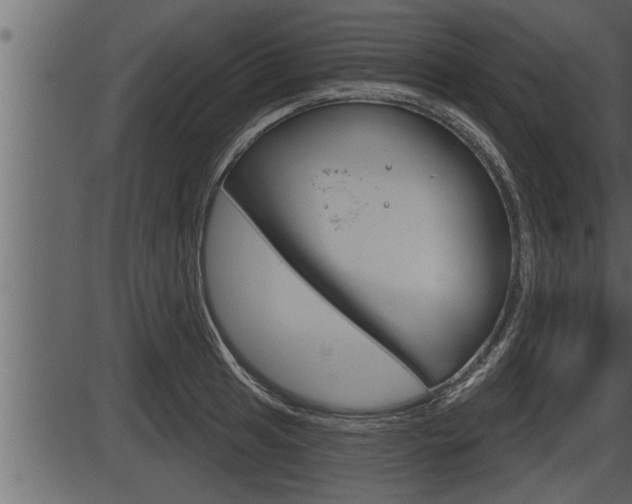 X0000086271041200703291031