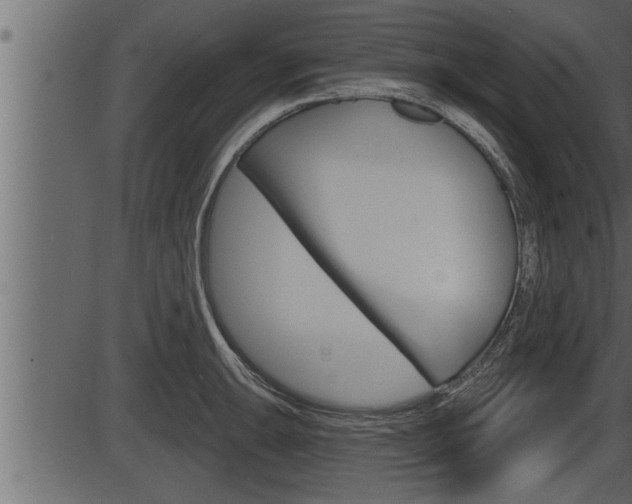 X0000086271047200703291032