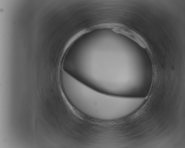 X0000086271050200703291032