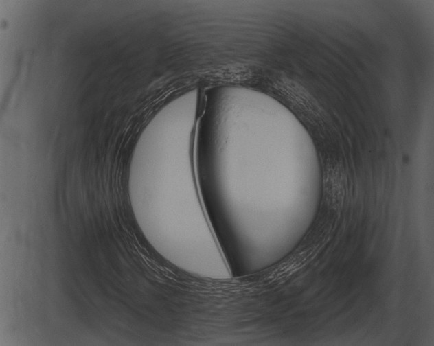 X0000086271058200703291031