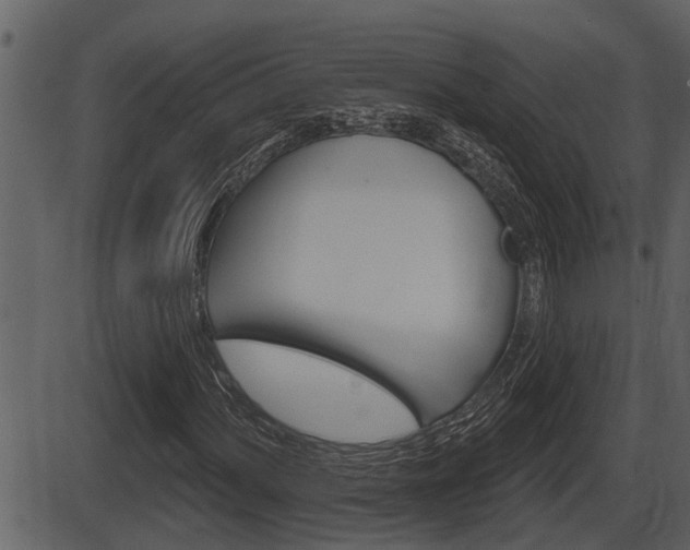 X0000086271060200703291031