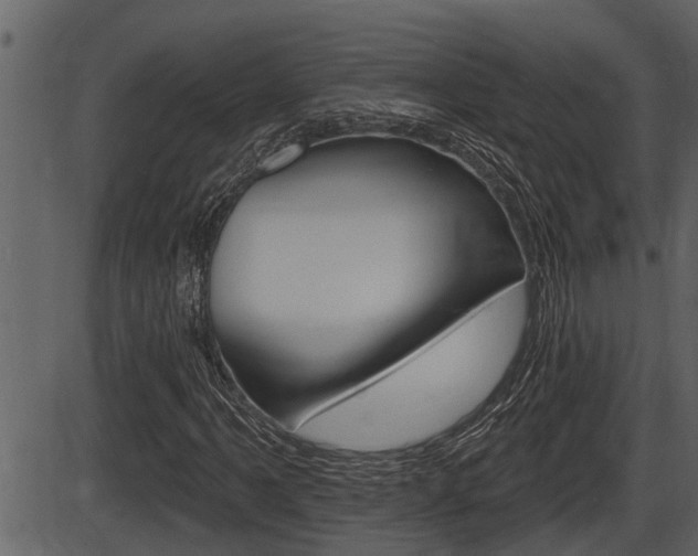 X0000086271061200703291031