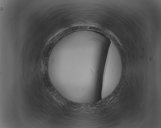 X0000086271064200703291031