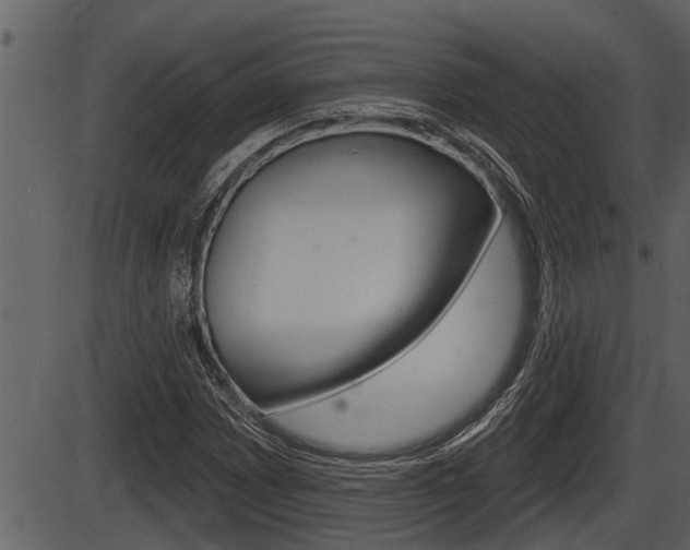 X0000086271065200703291031
