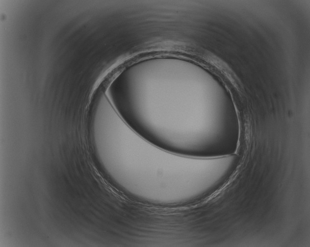 X0000086271069200703291031