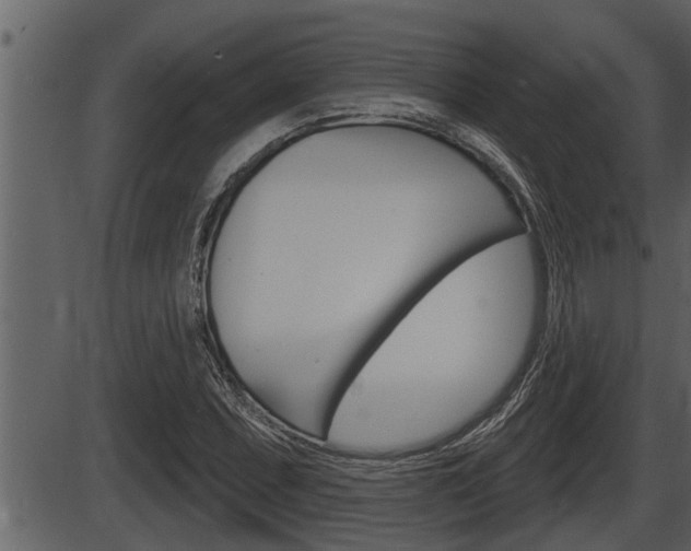X0000086271071200703291031