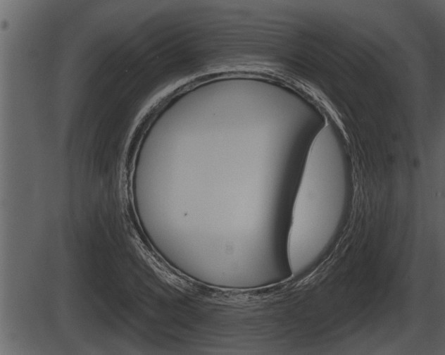 X0000086271072200703291031