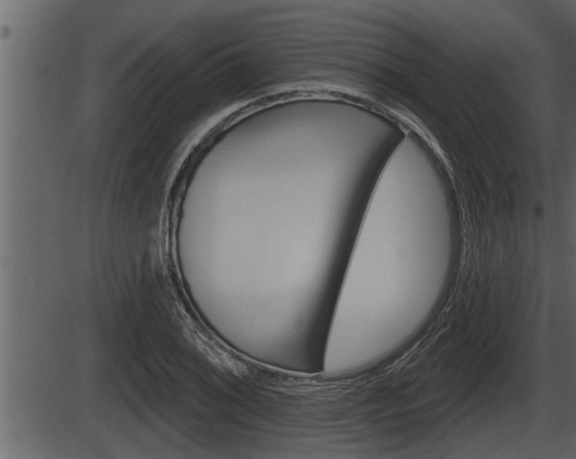 X0000086271076200703291031