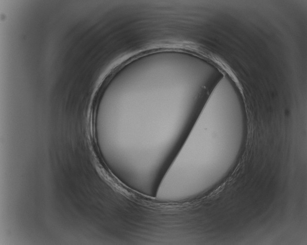 X0000086271080200703291031