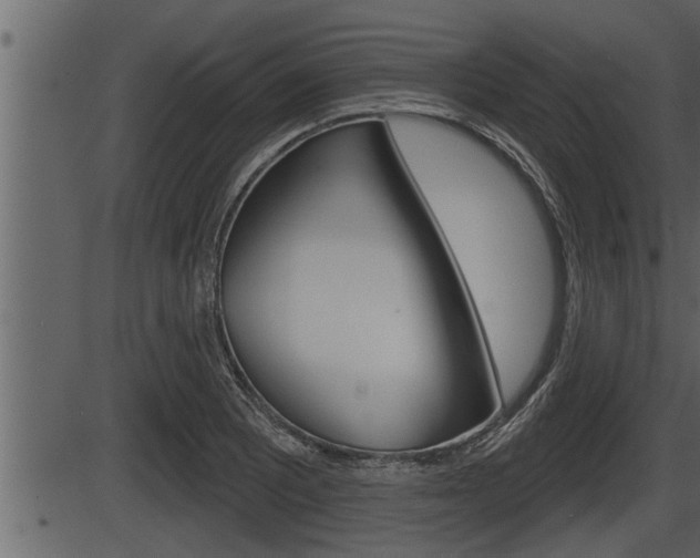 X0000086271081200703291031