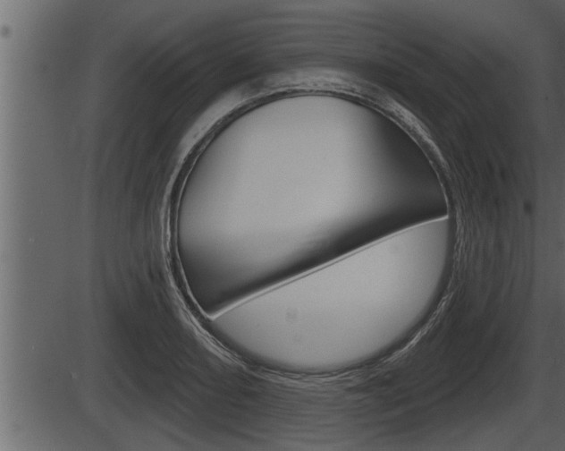 X0000086271082200703291031