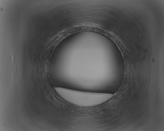 X0000086271110200703291029
