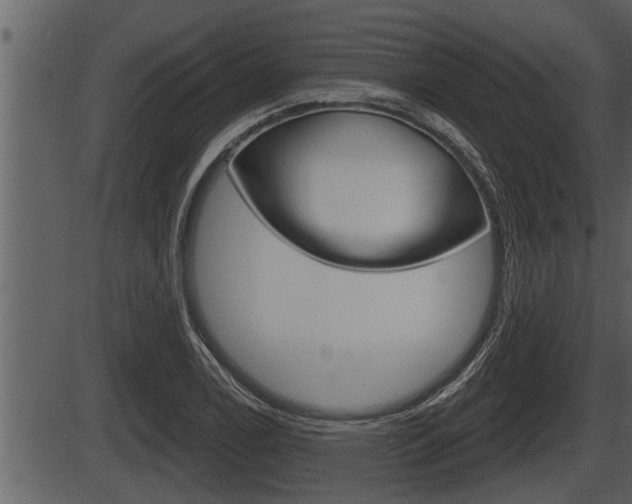 X0000086271122200703291030