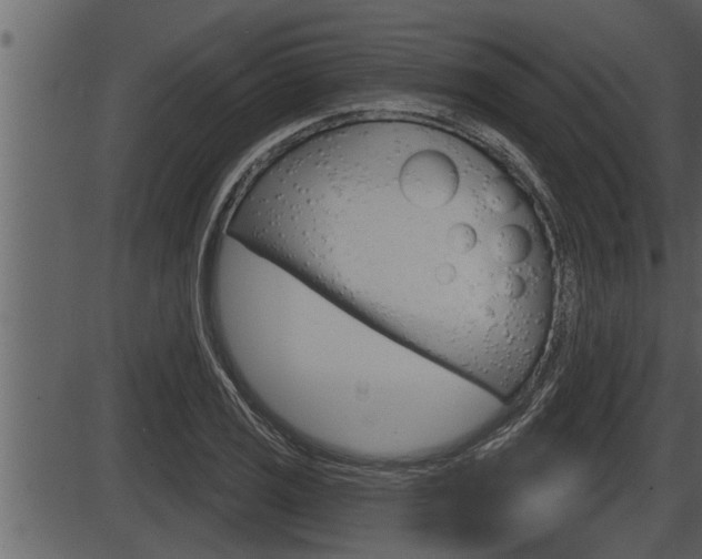 X0000086271125200703291030