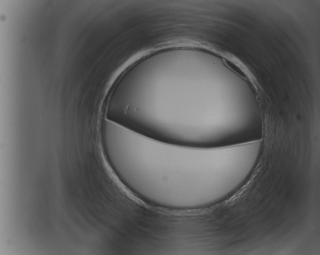 X0000086271142200703291030