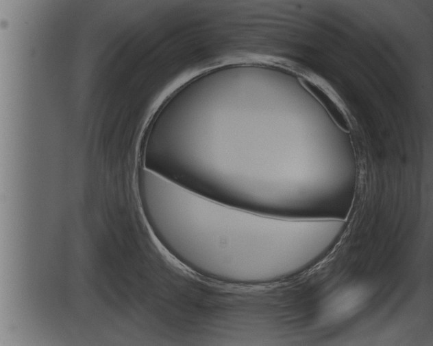 X0000086271143200703291030