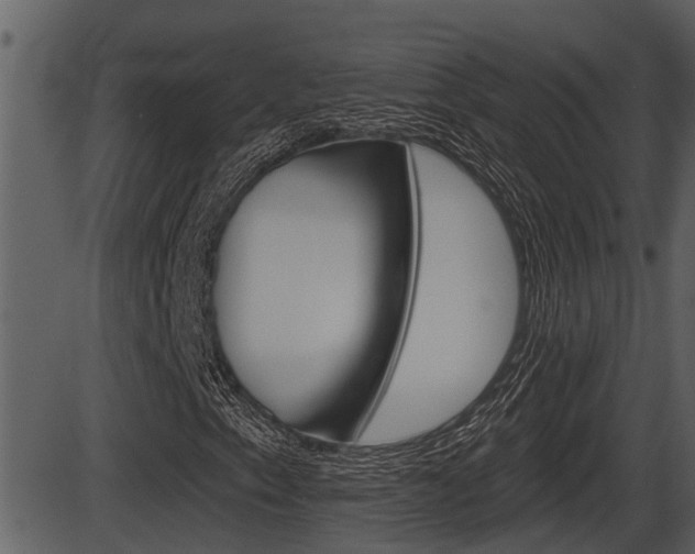 X0000086271153200703291029